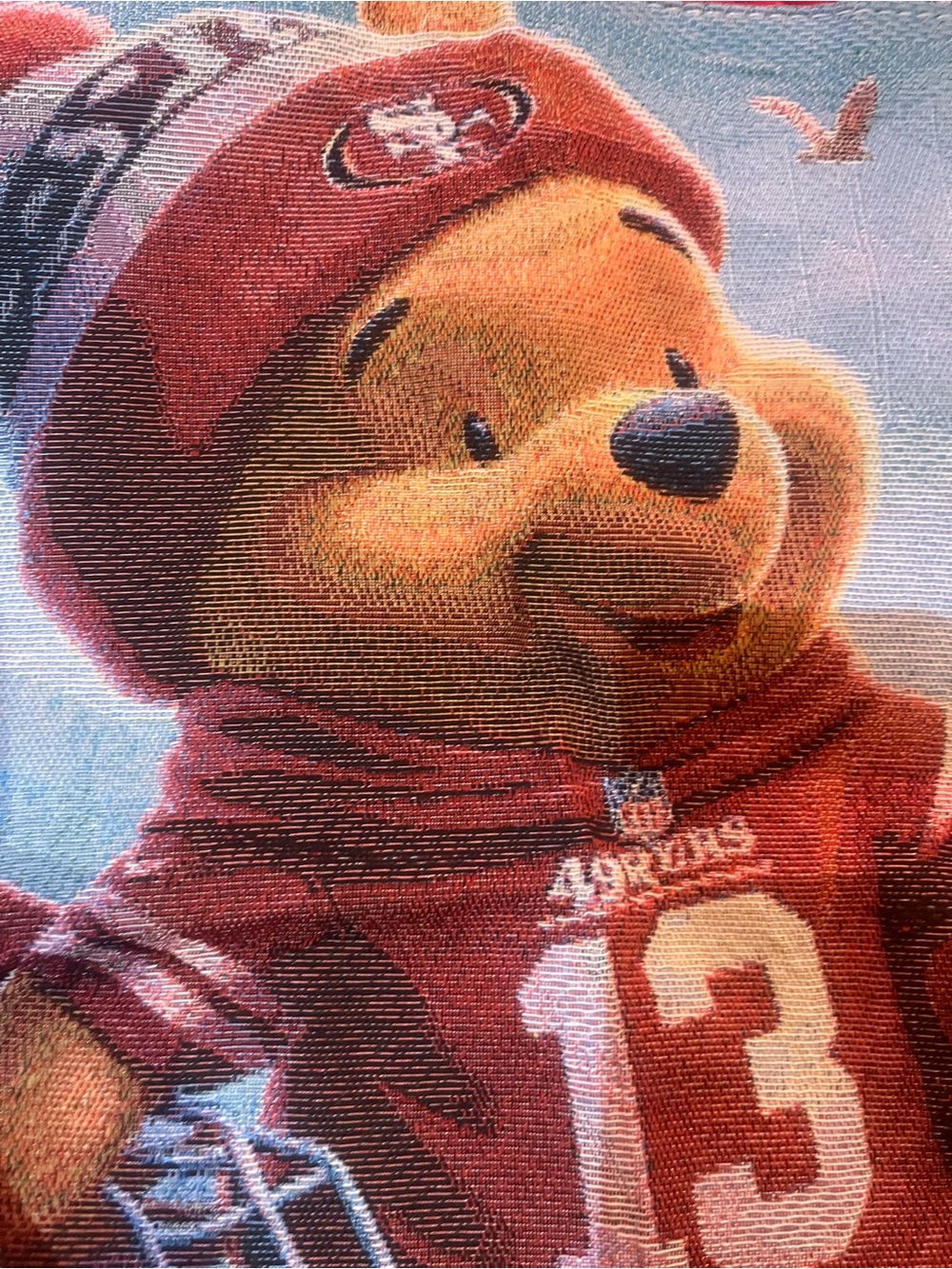 Winnie the Pooh 49ers tote bag canvas cloth